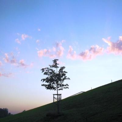 Dscn3026a