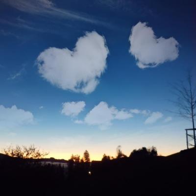 Love Is In The Air